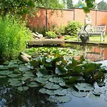 Hotel Lindenhof 4*
