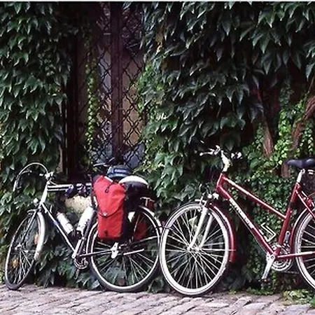 Отель Lindenhof Эмсдеттен