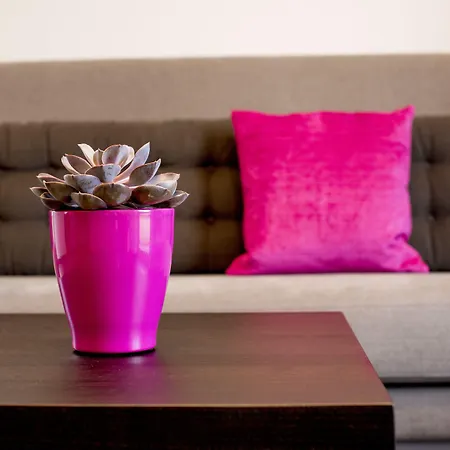 Lindenhof Отель