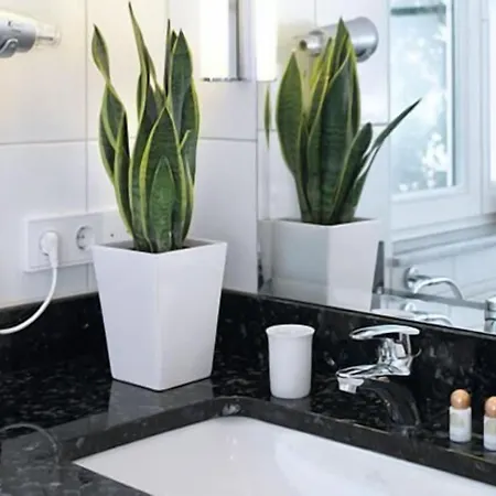 Lindenhof 4* Эмсдеттен