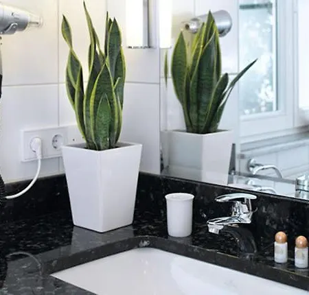 Lindenhof 4* إمستدن